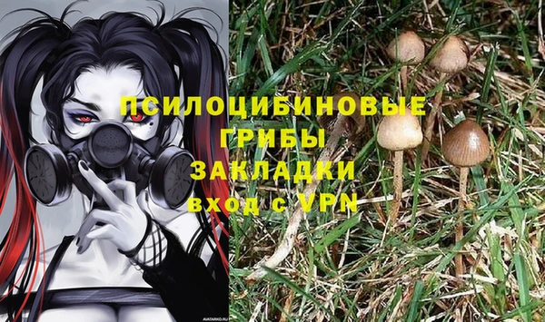 синтетический гашиш Богородицк