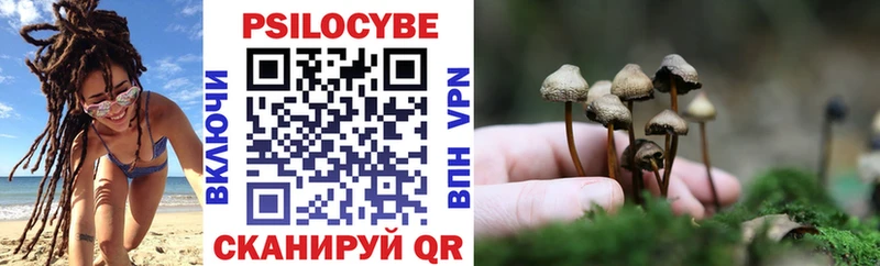 гидра как войти  где можно купить наркотик  Бийск  Псилоцибиновые грибы Psilocybe 