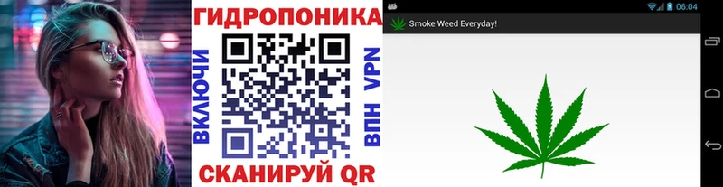 ОМГ ОМГ вход Бийск Каннабис семена